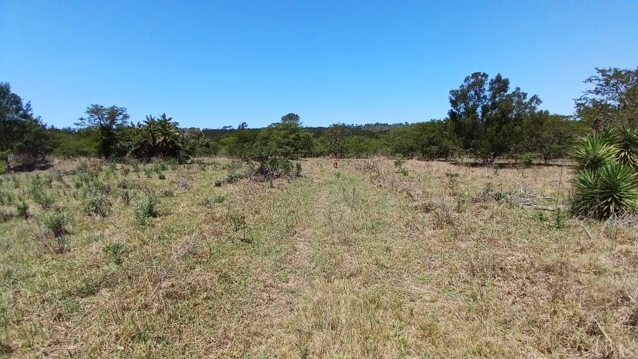 Commercial Property for Sale in Bathurst Rural Eastern Cape